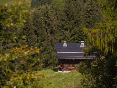 Berghütte  Le Chalet de Lara, Maison 7 personnes à Les Crosets - Photo 19