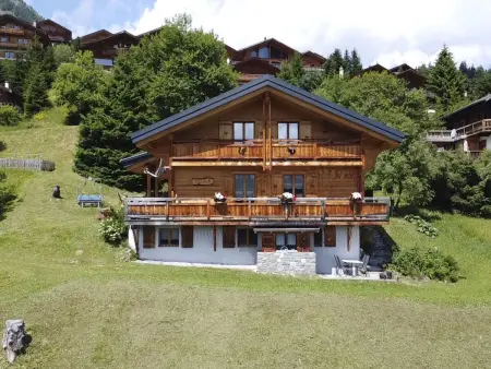 Chalet  Ecureuil  in den Portes du Soleil im Wallis - Photo 24