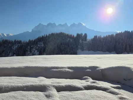 Chalet  Ecureuil  in den Portes du Soleil im Wallis - Photo 26