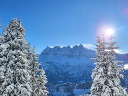 Chalet  Ecureuil  in den Portes du Soleil im Wallis - Photo 27