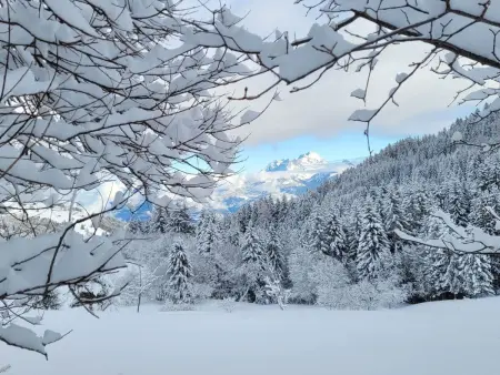 Chalet  Ecureuil  in den Portes du Soleil im Wallis - Photo 31