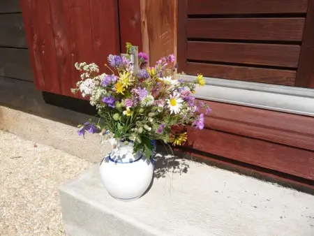 Chalet, Dil Arom, geschlossener Garten, Maison 5 personnes à Champex - Photo 17