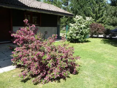 Chalet, Dil Arom, geschlossener Garten, Maison 5 personnes à Champex - Photo 18