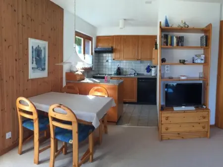 Fewo mit Blick auf die Berge, Appartement 4 personnes à Veysonnaz - Photo 4