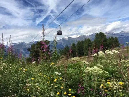 Fewo mit Blick auf die Berge, Appartement 4 personnes à Veysonnaz - Photo 13