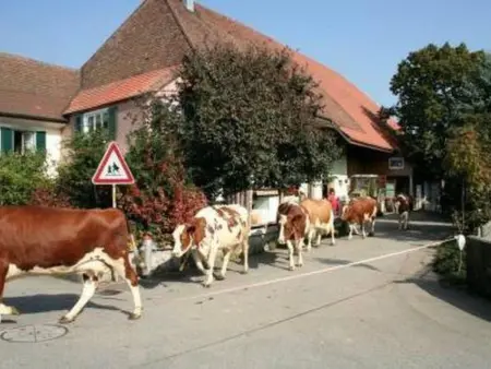 Stöckli, Gite 6 personnes à Attiswil - Photo 9