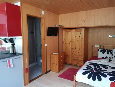 Studio Kanderbrück, Appartement 2 personnes à Frutigen - Photo 2