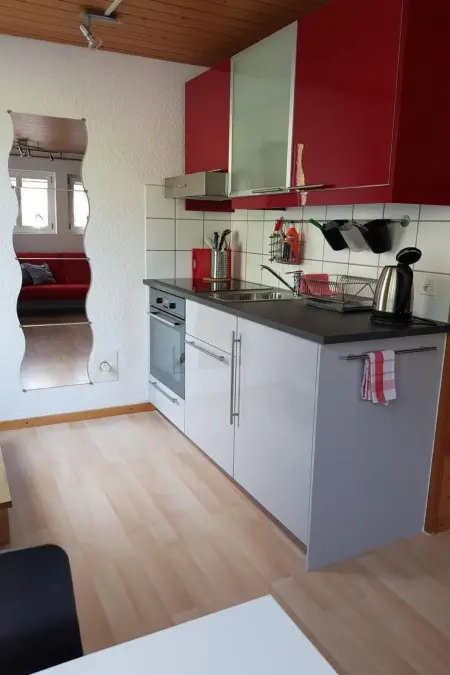 Studio Kanderbrück, Appartement 2 personnes à Frutigen - Photo 4