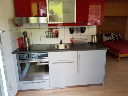 Studio Kanderbrück, Appartement 2 personnes à Frutigen - Photo 5