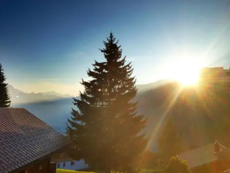 Chalet Bärgblüemli, Maison 6 personnes à Frutigen - Photo 1
