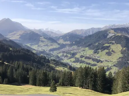 Chalet Bärgblüemli, Maison 6 personnes à Frutigen - Photo 15