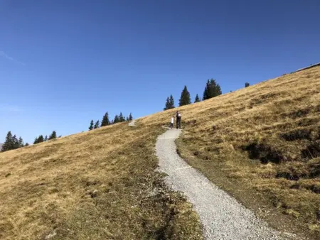 Chalet Bärgblüemli, Maison 6 personnes à Frutigen - Photo 16