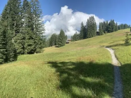Chalet Bärgblüemli, Maison 6 personnes à Frutigen - Photo 18