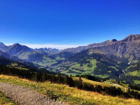 Chalet Bärgblüemli, Maison 6 personnes à Frutigen - Photo 20