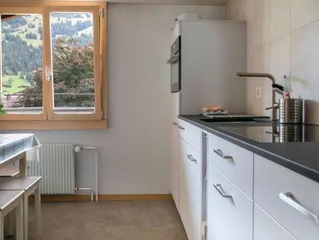 Gehrihornblick, Appartement 5 personnes à Frutigen - Photo 2