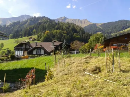 Alpenblick west, Maison 4 personnes à Frutigen - Photo 10