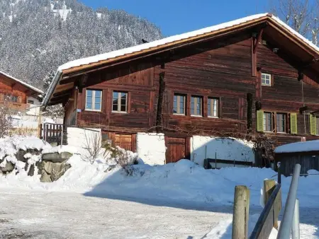Alpenblick west, Maison 4 personnes à Frutigen - Photo 12