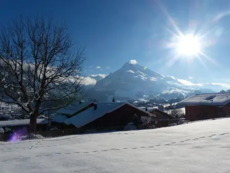 Alpenblick west, Maison 4 personnes à Frutigen - Photo 15