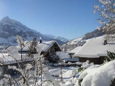 Alpenblick Nord, Maison 4 personnes à Frutigen - Photo 27
