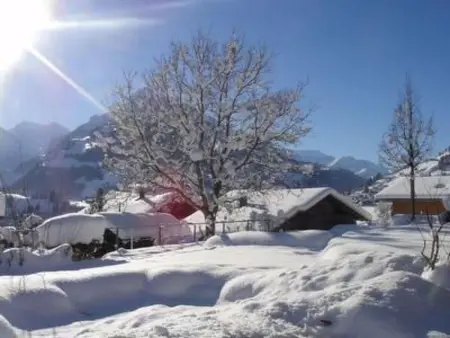 Alpenblick Nord, Maison 4 personnes à Frutigen - Photo 28