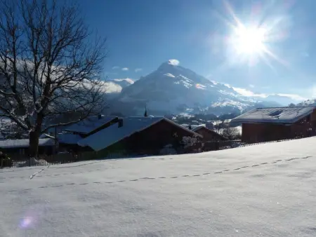 Alpenblick Nord, Maison 4 personnes à Frutigen - Photo 29