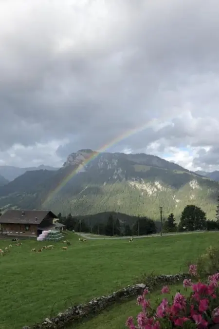 Gsässweid, Appartement 4 personnes à Horboden - Photo 4