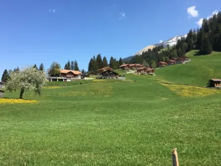 Gsässweid, Appartement 4 personnes à Horboden - Photo 37