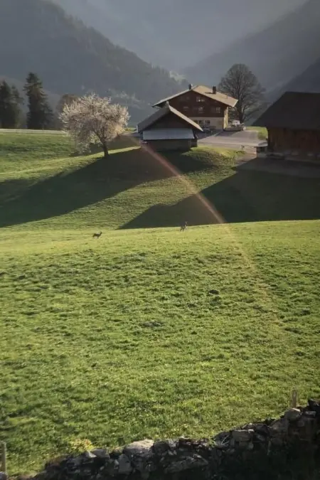 Gsässweid, Appartement 4 personnes à Horboden - Photo 38