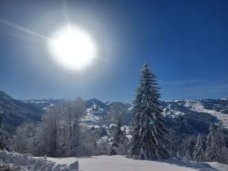 Ferienwohnung mit Bergpanorama, Appartement 6 personnes à Zweisimmen - Photo 12