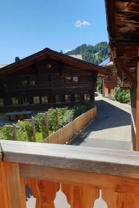 Familienchalet in Saanen – Gstaad, Appartement 8 personnes à Gstaad - Photo 6
