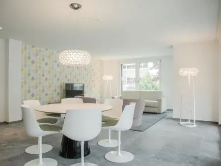 Apartment JungfrauCenter Brienzersee, Appartement 4 personnes à Interlaken - Photo 5