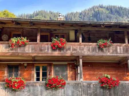 Wohnung Niesenblick, Appartement 4 personnes à Habkern - Photo 1