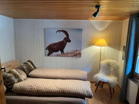 Wohnung Niesenblick, Appartement 4 personnes à Habkern - Photo 9