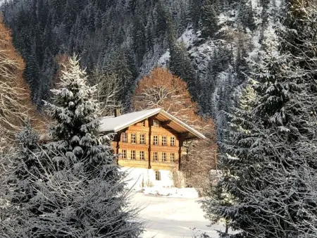 Wohnung Niesenblick, Appartement 4 personnes à Habkern - Photo 10