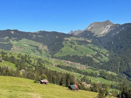 Wohnung Niesenblick, Appartement 4 personnes à Habkern - Photo 15