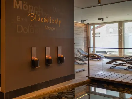 Wohnung Edelweiss direkt in 4 Sterne Hotel, Appartement 4 personnes à Beatenberg - Photo 16