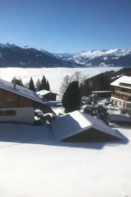 Chalet Friedheim, Appartement 4 personnes à Beatenberg - Photo 1