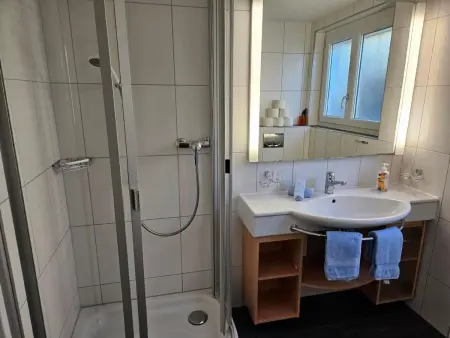 Chalet Friedheim, Appartement 4 personnes à Beatenberg - Photo 8