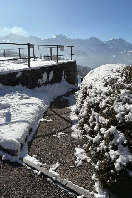 Chalet Friedheim, Appartement 4 personnes à Beatenberg - Photo 14