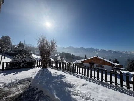 Chalet Friedheim, Appartement 4 personnes à Beatenberg - Photo 16