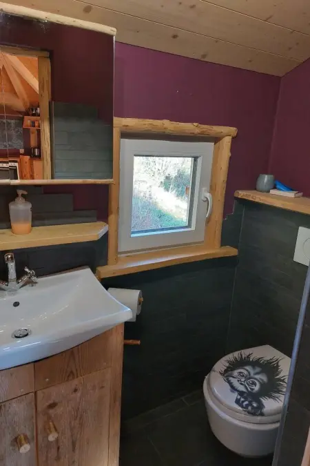 Einzigartige Holzhütte mit Bergpanorama, Maison 2 personnes à Beatenberg - Photo 6