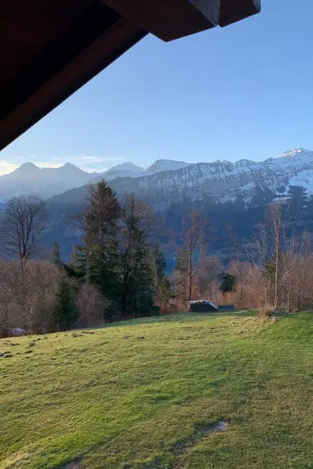 Chalet Felsli, Maison 4 personnes à Beatenberg - Photo 10
