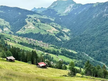 Panorama-Beatenberg, Appartement 4 personnes à Beatenberg - Photo 16
