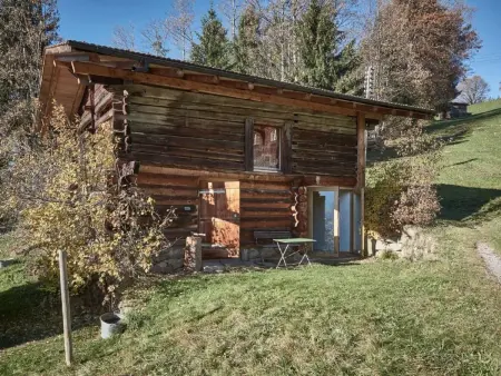 Scheune, Maison 2 personnes à Beatenberg - Photo 1