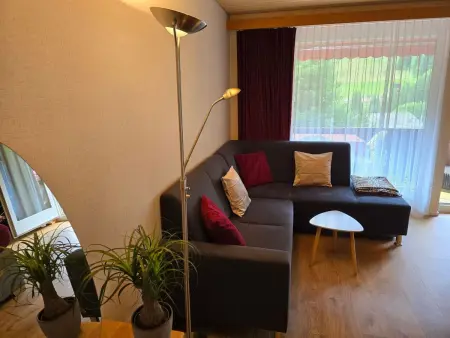 Haus Ahorni, Appartement 2 personnes à Beatenberg - Photo 2