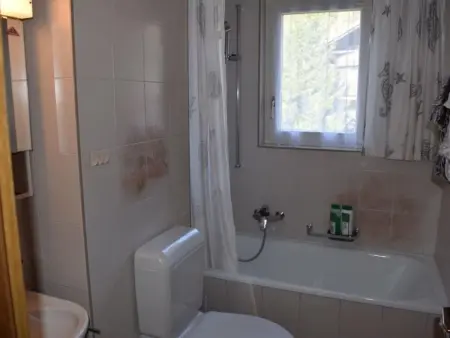 Haus Ahorni, Appartement 2 personnes à Beatenberg - Photo 8