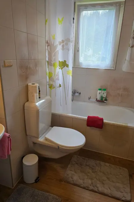Haus Ahorni, Appartement 2 personnes à Beatenberg - Photo 19