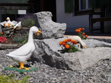 Chalet Alpenrösli, Appartement 2 personnes à Lauterbrunnen - Photo 14