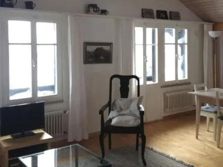 Helvetia (Heinemann) 4 Bett Wohnung, Appartement 4 personnes à Lauterbrunnen - Photo 5