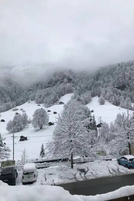 Chalet Tripfi, Appartement 5 personnes à Lauterbrunnen - Photo 13
